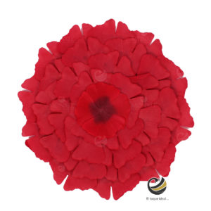 Carpeta (Plato Base) P138-FLO Rojo 38 cm. (PVC)