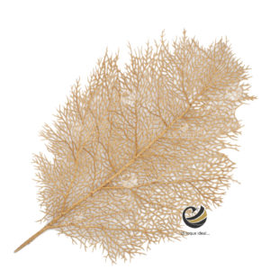 Plato Base P105 HOJ ORO Plato Base P105 HOJ ORO