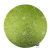 Carpeta (Plato Base) P128-NID Verde 39 cm. (PVC)