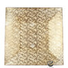Plato Base P41-HOL Oro 33x33 cm. (Polipropileno)