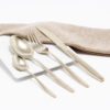 Cubiertos C01-YUN Champagne Set 4pz (Acero Inoxidable)