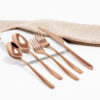 Cubiertos C17-LEZ Rosa Oro Set 5pz (Acero Inoxidable)