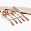 Cubiertos C22-ZIB Rosa Oro Set 5pz (Acero Inoxidable)
