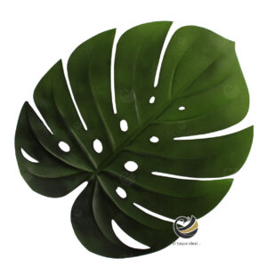 Carpeta (Plato Base) P211-ADA Verde 43x45 cm. (PVC)