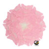 Carpeta (Plato Base) P138-FLO Rosa 38 cm. (PVC)