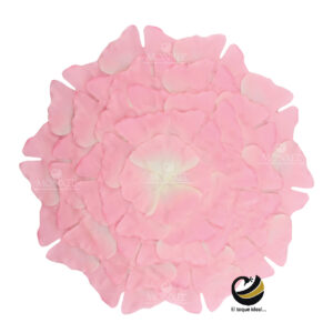 Carpeta P138 FLO Rosa MONXEL Carpeta P138 FLO Rosa MONXEL