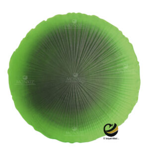 Carpeta P392 ORB Verde MONXEL Carpeta P392 ORB Verde MONXEL