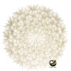 Carpeta (Plato Base) P395-NIA Oro 38 cm. (PVC)