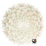 Carpeta (Plato Base) P395-NIA Oro 38 cm. (PVC)